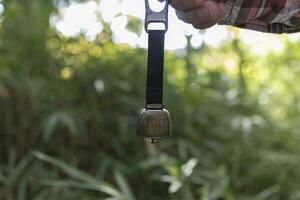 en Björn klocka med hand på de grön skog i höst foto