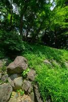en japansk trädgård damm på tonogayato trädgård i sommar solig dag foto