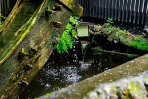 en historisk trä- hjul på de vatten yta i tokyo stänga upp foto