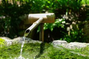 en japansk bambu vatten fontän shishi-odoshi i zen trädgård foto