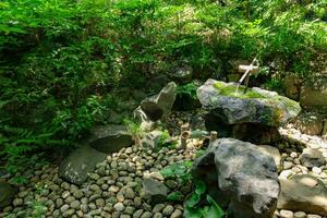 en japansk bambu vatten fontän shishi-odoshi i zen trädgård foto