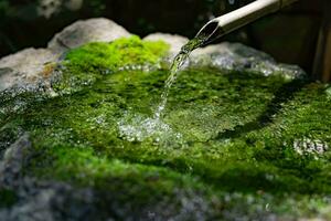 en japansk bambu vatten fontän shishi-odoshi i zen trädgård foto