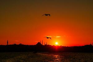 istanbul se. seagulls och silhuett av stadsbild av istanbul på solnedgång foto