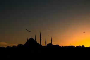 suleymaniye moské och fiskmås på solnedgång. ramadan eller islamic Foto