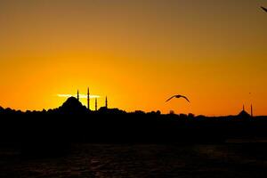 silhuett av istanbul på solnedgång med en fiskmås och moskéer. foto