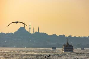 istanbul bakgrund Foto. färja och silhuett av en moské och fiskmås foto