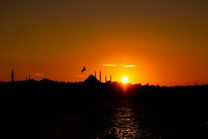 silhuett av istanbul på solnedgång. suleymaniye moské och fiskmås. foto