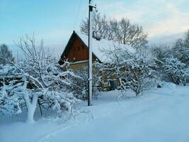 en hus täckt i snö med träd och buskar foto