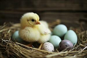 ai genererad en söt gul brud sitter tätt i en bo omgiven förbi påsk ägg, förkroppsligande de väsen av de glad Semester. foto