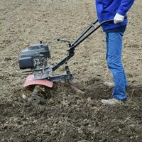 plantering potatisar under de gå-bakom traktor foto