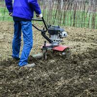 plantering potatisar under de gå-bakom traktor foto