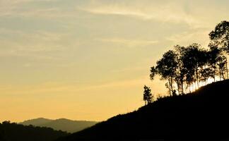 färgrik himmel med skog silhuett på solnedgång foto