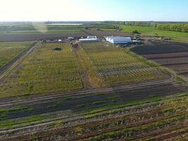 ramar av växthus, topp se. konstruktion av växthus i de fält. lantbruk, agroteknik av stängd jord foto