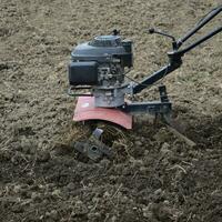 plantering potatisar under de gå-bakom traktor foto