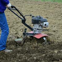 plantering potatisar under de gå-bakom traktor foto