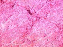 rosa stenstruktur foto