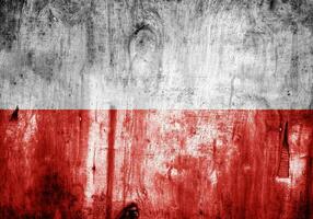 flagga grunge textur foto