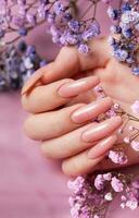 kvinna händer med rosa nagel design håll Gypsophila blommor. foto