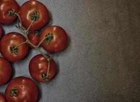 tomat utomhus i trädgården foto
