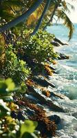 ai genererad frodig tropisk lövverk längs en solkysst strandlinje foto