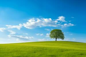 träd stående i de grön fält med de blå himmel i de bakgrund foto