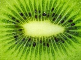 kiwi bakgrund detaljer foto