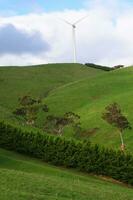 lantlig Australien vildmark foto