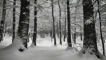 ai genererad en svart och vit Foto av en snöig skog