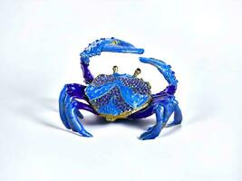 miniatyr- blå krabba isolerat på vit foto