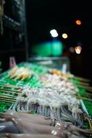 thai stil rå bläckfisk på en pinne på de grill på natt marknadsföra foto