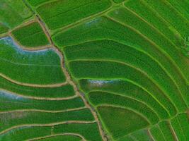 de skönhet av de morgon- panorama med soluppgång i indonesien by foto