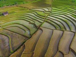 de skönhet av de morgon- panorama med soluppgång i indonesien by foto