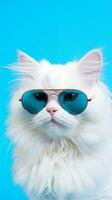 porträtt Häftigt katt begrepp design, vit katt bär ögon glasögon isolerat på bakgrund, blå textur på bakgrund, ios bakgrund stil, foto