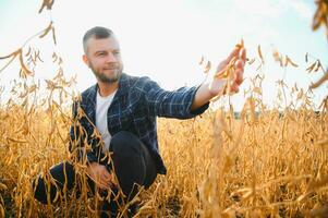 jordbrukare agronom i sojaböna fält kontroll gröda. organisk mat produktion och odling foto