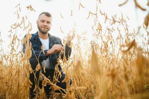 agronom inspekterande soja böna gröda växande i de bruka fält. lantbruk produktion begrepp. ung agronom undersöker sojaböna beskära på fält. jordbrukare på sojaböna fält. foto