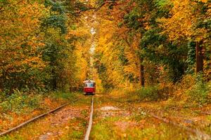 höst skog genom som ett gammal spårvagn rider ukraina foto