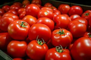 ai genererad vibrerande tomater ordentligt anordnad i en Lagra låda, marknadsfräsch godhet foto