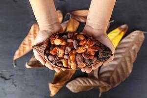 torra kakaobönor till hands foto