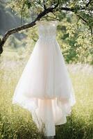 en mjuk rosa bröllop klänning hängande på en skön träd i de trädgård. skön solljus. bröllop Foto. foto