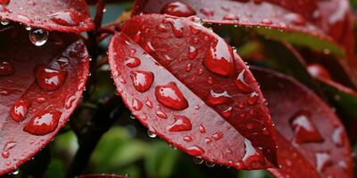 ai genererad färsk röd löv med vatten droppar. stänga upp av blad med regndroppar. generativ ai foto