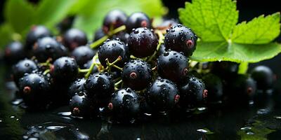 ai genererad färsk svart vinbär frukt. generativ ai foto