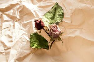 begrepp skott av de bakgrund tema, omslag papper, torkades ro Övrig blommor och Övrig arrangemang. valentines dag foto