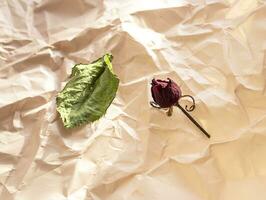 begrepp skott av de bakgrund tema, omslag papper, torkades ro Övrig blommor och Övrig arrangemang. valentines dag foto