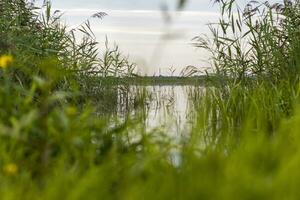 landskap skott av de sjö. natur foto