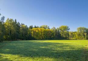 landskap skott av de väg på de by. natur foto