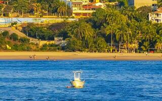 fiske båtar på de hamn strand i puerto escondido Mexiko. foto