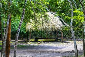 pALAPA hydda hus stuga i tropisk djungel coba ruiner Mexiko. foto