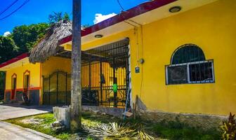 typiska färgglada gata vägtrafik bilar palmer av tulum mexico. foto