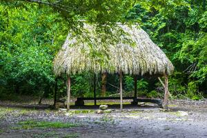 pALAPA hydda hus stuga i tropisk djungel coba ruiner Mexiko. foto