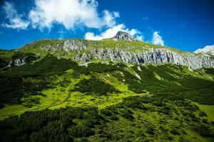 vackert grönt berg foto